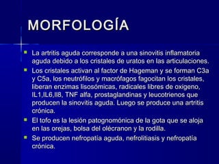MORFOLOGÍAMORFOLOGÍA
 La artritis aguda corresponde a una sinovitis inflamatoriaLa artritis aguda corresponde a una sinovitis inflamatoria
aguda debido a los cristales de uratos en las articulaciones.aguda debido a los cristales de uratos en las articulaciones.
 Los cristales activan al factor de Hageman y se forman C3aLos cristales activan al factor de Hageman y se forman C3a
y C5a, los neutrófilos y macrófagos fagocitan los cristales,y C5a, los neutrófilos y macrófagos fagocitan los cristales,
liberan enzimas lisosómicas, radicales libres de oxigeno,liberan enzimas lisosómicas, radicales libres de oxigeno,
IL1,IL6,Il8, TNF alfa, prostaglandinas y leucotrienos queIL1,IL6,Il8, TNF alfa, prostaglandinas y leucotrienos que
producen la sinovitis aguda. Luego se produce una artritisproducen la sinovitis aguda. Luego se produce una artritis
crónica.crónica.
 El tofo es la lesión patognomónica de la gota que se alojaEl tofo es la lesión patognomónica de la gota que se aloja
en las orejas, bolsa del olécranon y la rodilla.en las orejas, bolsa del olécranon y la rodilla.
 Se producen nefropatía aguda, nefrolitiasis y nefropatíaSe producen nefropatía aguda, nefrolitiasis y nefropatía
crónica.crónica.
 