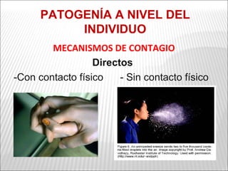 PATOGENÍA A NIVEL DEL
           INDIVIDUO
        MECANISMOS DE CONTAGIO
                  Directos
-Con contacto físico    - Sin contacto físico
 