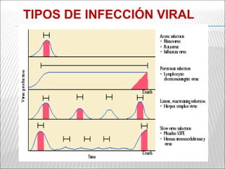 TIPOS DE INFECCIÓN VIRAL
 