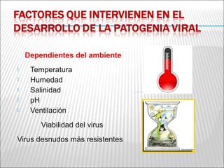 Dependientes del ambiente
    Temperatura
    Humedad
    Salinidad                   http://www.sangrefria.com/andamio/images/humedad.jpg


    pH
    Ventilación
        Viabilidad del virus
Virus desnudos más resistentes

                                          http://www.panamaverde.org/web/dibujo.jpg
 
