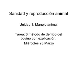 Sanidad y reproducción animal Unidad 1: Manejo animal Tarea: 3 método de derribo del bovino con explicación. Miércoles 25 Marzo 