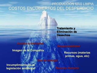 PRODUCCIÓN MÁS LIMPIA
 COSTOS ENCUBIERTOS DEL DESPERDICIO



                                     Tratamiento y
                                     Eliminación de
                                     Desechos

       Acceso a mercados
                                     Responsabilidad
    Imagen de la Compañía
                                          Recursos (materias
                                           primas, agua, etc)
                        Uso de energía
Incumplimiento de la
legislación ambiental               Recurso Humano
 