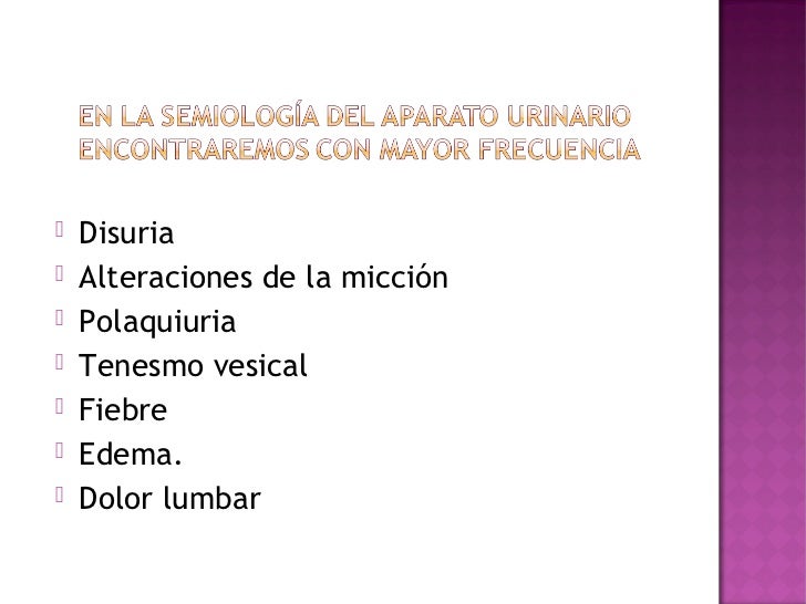 Clase 1 aparato urinario Clase 1 aparato urinario