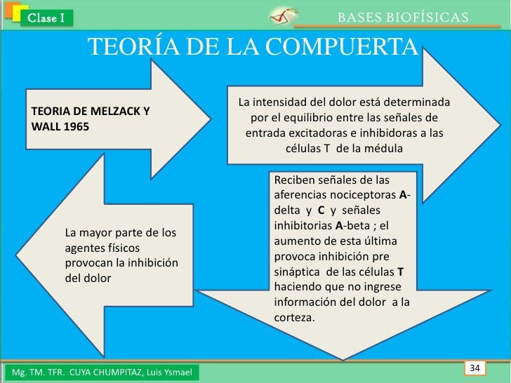 Clase 1 bases biofisicas Clase 1 bases biofisicas