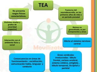 ASES NEUROFISIOLÓGICAS Y GENETICAS autismo | PDF