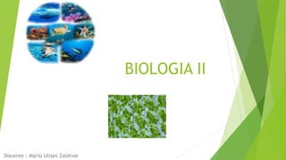 BIOLOGIA II
Docente : Mario Ulises Zaldivar
 