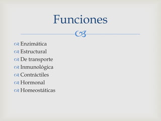 Enzimática<br />Estructural<br />De transporte<br />Inmunológica<br />Contráctiles <br />Hormonal <br />Homeostáticas <br ...