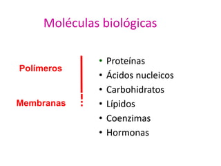 Moléculas biológicas Proteínas Ácidosnucleicos Carbohidratos Lípidos Coenzimas Hormonas Polímeros Membranas 