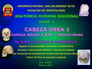 UNIVERSIDAD NACIONAL “SAN LUIS GONZAGA” DE ICA
              FACULTAD DE ODONTOLOGIA

  ANATOMIA HUMANA REGIONAL
                          CLASE 1

            CABEZA OSEA 1
Cabeza Adulto y R.N. - Neurocráneo
  Mg. B.N.M. C.D. EDGAR M. HERNANDEZ H.
      Magíster en Estomatología- Doctorado en Salud Publica
     Bachelor in Naturophatic Medicine – Docente Investigador
Esp. Evaluación de Competencias Profesionales del Cirujano Dentista
              Asesor de Tesis de pregrado y posgrado

                          ICA – PERÚ
                          Febrero 2013
 