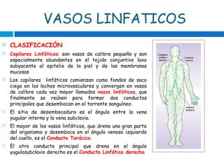 VASOS LINFATICOS
 CLASIFICACIÓN
 Capilares Linfáticos: son vasos de calibre pequeño y son
especialmente abundantes en el tejido conjuntivo laxo
subyacente al epitelio de la piel y de las membranas
mucosas
 Los capilares linfáticos comienzan como fondos de saco
ciego en los lechos microvasculares y convergen en vasos
de calibre cada vez mayor llamados vasos linfáticos, que
finalmente se reúnen para formar dos conductos
principales que desembocan en el torrente sanguíneo.
 El sitio de desembocadura es el ángulo entre la vena
yugular interna y la vena subclavia.
 El mayor de los vasos linfáticos, que drena una gran parte
del organismo y desemboca en el ángulo venoso izquierdo
del cuello, es el Conducto Torácico.
 El otro conducto principal que drena en el ángulo
yugulosubclavio derecho es el Conducto Linfático derecho
 