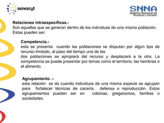 Relaciones intraespecíficas.-
Son aquellas que se generan dentro de los individuos de una misma población.
Estas pueden ser:
Competencia.-
esta se presenta cuando las poblaciones se disputan por algún tipo de
recurso limitado, al paso del tiempo una de las
dos poblaciones se apropiará del recurso y desplazará a la otra. La
competencia se puede presentar por temas como el territorio, las hembras o
el alimento.
Agrupamiento .-
esta relación se da cuando individuos de una misma especie se agrupan
para fortalecer técnicas de cacería, defensa o reproducción. Estos
agrupamientos pueden ser en colonias, gregarismos, familias o
sociedades.
 