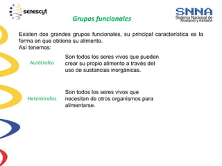 Grupos funcionales
Existen dos grandes grupos funcionales, su principal característica es la
forma en que obtiene su alimento.
Así tenemos:
Autótrofos
Son todos los seres vivos que pueden
crear su propio alimento a través del
uso de sustancias inorgánicas.
Heterótrofos
Son todos los seres vivos que
necesitan de otros organismos para
alimentarse.
 