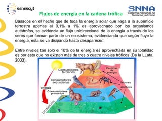 Flujos de energía en la cadena trófica
Basados en el hecho que de toda la energía solar que llega a la superficie
terrestre apenas el 0,1% a 1% es aprovechado por los organismos
autótrofos, se evidencia un flujo unidireccional de la energía a través de los
seres que forman parte de un ecosistema, evidenciando que según fluye la
energía, esta se va disipando hasta desaparecer.
Entre niveles tan solo el 10% de la energía es aprovechada en su totalidad
es por esto que no existen más de tres o cuatro niveles tróficos (De la LLata,
2003).
 