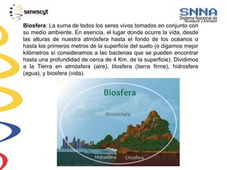 Biosfera: La suma de todos los seres vivos tomados en conjunto con
su medio ambiente. En esencia, el lugar donde ocurre la vida, desde
las alturas de nuestra atmósfera hasta el fondo de los océanos o
hasta los primeros metros de la superficie del suelo (o digamos mejor
kilómetros sí consideramos a las bacterias que se pueden encontrar
hasta una profundidad de cerca de 4 Km. de la superficie). Dividimos
a la Tierra en atmósfera (aire), litosfera (tierra firme), hidrosfera
(agua), y biosfera (vida).
 