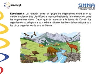 Ecosistema: La relación entre un grupo de organismos entre sí y su
medio ambiente. Los científicos a menudo hablan de la interrelación entre
los organismos vivos. Dado, que de acuerdo a la teoría de Darwin los
organismos se adaptan a su medio ambiente, también deben adaptarse a
los otros organismos de ese ambiente.
 