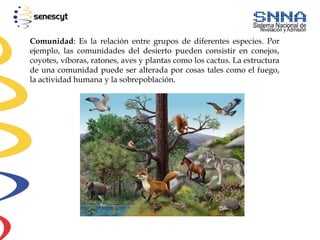 Comunidad: Es la relación entre grupos de diferentes especies. Por
ejemplo, las comunidades del desierto pueden consistir en conejos,
coyotes, víboras, ratones, aves y plantas como los cactus. La estructura
de una comunidad puede ser alterada por cosas tales como el fuego,
la actividad humana y la sobrepoblación.
 