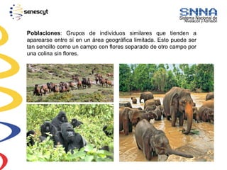 Poblaciones: Grupos de individuos similares que tienden a
aparearse entre sí en un área geográfica limitada. Esto puede ser
tan sencillo como un campo con flores separado de otro campo por
una colina sin flores.
 