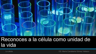 Reconoces a la célula como unidad de
la vida
La célula CD. María Candelaria Gómez Velasco
 