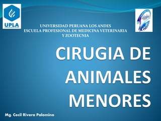 UNIVERSIDAD PERUANA LOS ANDES
ESCUELA PROFESIONAL DE MEDICINA VETERINARIA
Y ZOOTECNIA
Mg. Cecil Rivera Palomino
 