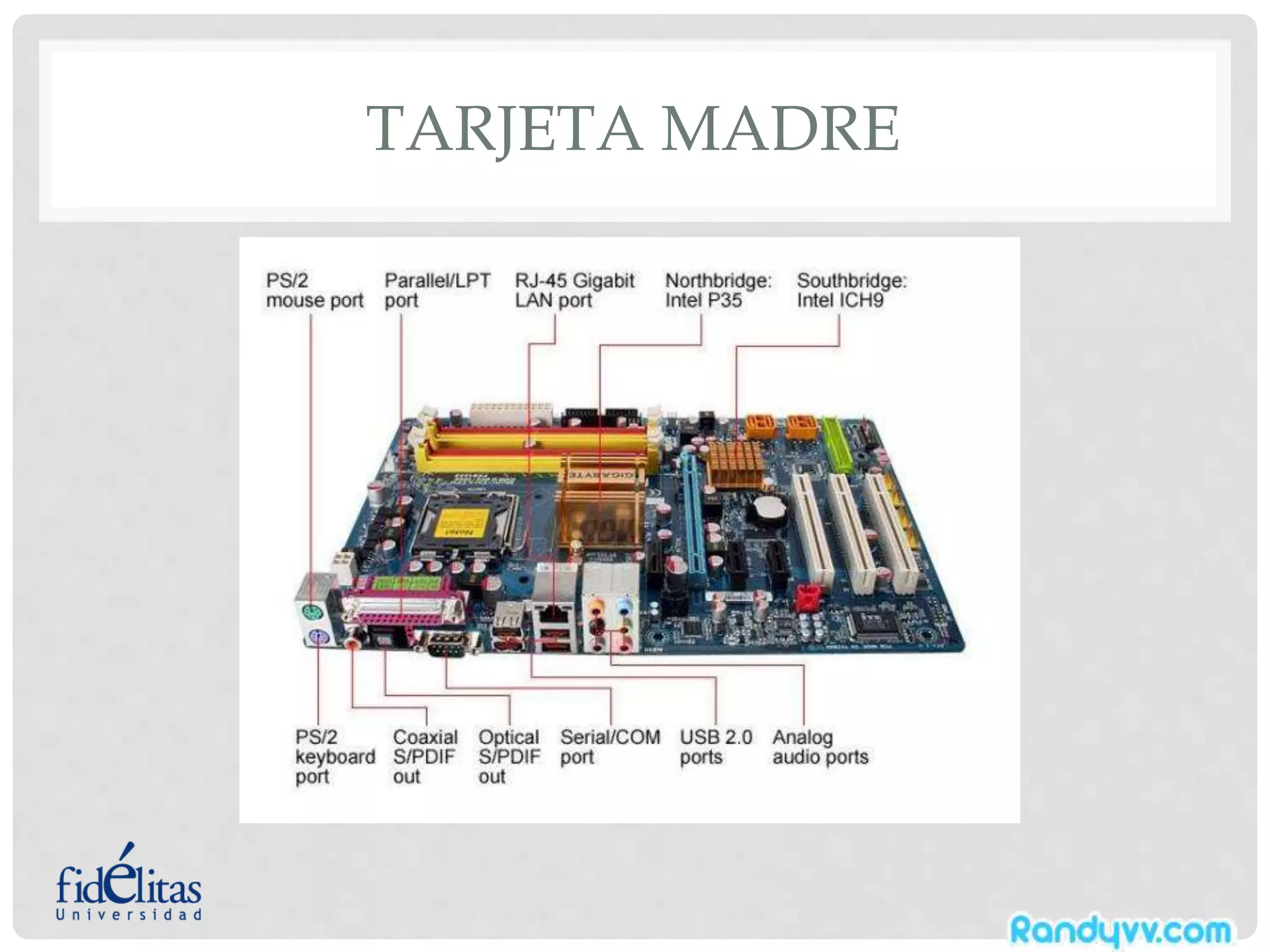 TARJETA MADRE
 