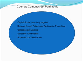Cuentas Comunes del Patrimonio




Capital Social (suscrito y pagado)
Reserva (Legal, Estatutaria, Destinación Específica)
Utilidades del Ejercicio
Utilidades Acumuladas
Superavit por Valorización
 