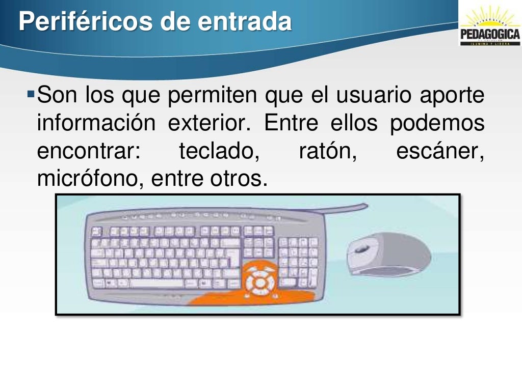 Clase 1 definición de hardware y software.