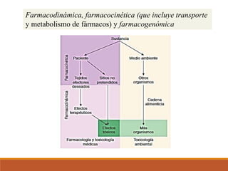 Farmacodinámica, farmacocinética (que incluye transporte
y metabolismo de fármacos) y farmacogenómica
 