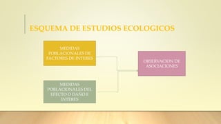 ESQUEMA DE ESTUDIOS ECOLOGICOS
MEDIDAS
POBLACIONALES DE
FACTORES DE INTERES
MEDIDAS
POBLACIONALES DEL
EFECTO O DAÑO E
INTERES
OBSERVACION DE
ASOCIACIONES
 