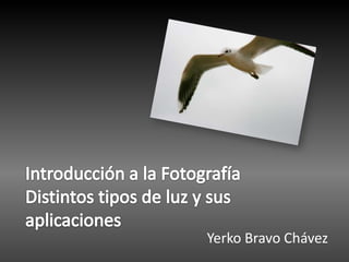 Introducción a la FotografíaDistintos tipos de luz y sus aplicaciones Yerko Bravo Chávez 