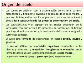 Origen del suelo
• Los suelos se originan con la acumulación de material parental
meteorizado y finamente dividido o separado de la roca madre, y
que con la interacción con los organismos vivos se iniciarà entre
ellos la fase constructiva de los procesos de formación del suelo.
• Las características y el espesor de los suelos dependen de la
intensidad con que actúen los procesos de formación, el tiempo
que haya durado su acción y la resistencia del material original a
sufrir esos cambios.
• El suelo está formado de substancias en estado sólido, líquido y
gaseoso.
• La porción sólida: por materiales orgánicos, resultantes de las
plantas y animales, y materiales inorgánicos o minerales están
formados (residuos de la descomposición de la roca madre).
• Las porciones liquida ( agua) y la gaseosa por (aire) respectivamente.
 