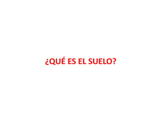 ¿QUÉ ES EL SUELO?
 