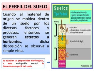 EL PERFIL DEL SUELO
Cuando al material de
origen se moldea dentro
de un suelo por los
diversos factores y
procesos, entonces se
generan estratos u
horizontes, dicha
disposición se observa a
simple vista.
Se estudian las propiedades morfológicas,
a esta radiografía vertical le
denominamos perfil del suelo
 