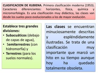 CLASIFICACION DE KUBIENA. Primera clasificación moderna (1953).
Caracteres diferenciantes: horizontes, física, química y
micromorfología. Es una clasificación muy didáctica, las clases van
desde los suelos poco evolucionados a los de mayor evolución.
Establece tres grandes
divisiones:
• Subacuáticos (debajo
de capas de agua),
• Semiterrestres (con
hidromorfía) y
• Terrestres (para los
suelos normales).
Las clases se encuentran
minuciosamente descritas
y espléndidamente
ilustradas. Se trata de una
clasificación muy
importante que marcó un
hito en su tiempo aunque
hoy ha quedado
totalmente obsoleta.
 