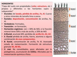 HORIZONTES
“Capa del suelo con propiedades (color, estructura, etc )
propias y diferentes a los horizontes supra y
subyacentes”
• Eluviales: de lavado, pérdida de arcillas, Fe, Al. Cuarzo
y otros minerales de tamaño limo o arena.
• Iluviales: depositación, concentración de arcillas, Fe,
Al.
• Verdaderos: Formados,
• Transición: en formación,
• Horizontes orgánicos: con + 30% de MO, si la fracción
mineral tiene 50% o más de arcilla, o 20% de MO
• A:Eluvial, acumula MO, perdidas de arcilla A1, A2, A3
• E: Eluvial pérdida de arcilla, hierro, aluminio o alguna
combinación de esos componentes.
• B: iluvial, concentración de arcilla, Fe Al. Avanzado
estado de meteorización. Formación de estructura
granular B1, B2 B3,
• C: mat. No consolidados, poco afectados por la
pedogénesis, acumulación de CO3Ca. Afectados por la
meteorización química o física.
 