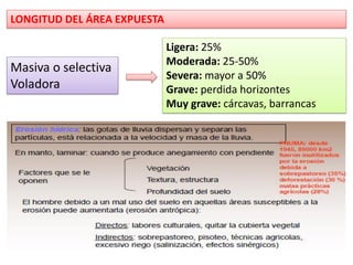 LONGITUD DEL ÁREA EXPUESTA
Masiva o selectiva
Voladora
Ligera: 25%
Moderada: 25-50%
Severa: mayor a 50%
Grave: perdida horizontes
Muy grave: cárcavas, barrancas
 