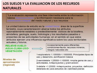 LOS SUELOS Y LA EVALUACION DE LOS RECURSOS
NATURALES
 