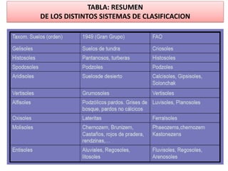 TABLA: RESUMEN
DE LOS DISTINTOS SISTEMAS DE CLASIFICACION
 