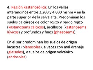 4. Región kastanosólica: En los valles
interandinos entre 2,200 y 4,000 msnm y en la
parte superior de la selva alta. Predominan los
suelos calcáreos de color rojizo y pardo rojizo
(kastanozems cálcicos), arcillosos (kastanozems
lúvicos) y profundos y finos (phaeozems).
En el sur predominan los suelos de origen
lacustre (planosoles), a veces con mal drenaje
(gleisoles), y suelos de origen volcánico
(andosoles).
 