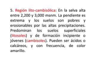 5. Región líto-cambisólica: En la selva alta
entre 2,200 y 3,000 msnm. La pendiente es
extrema y los suelos son pobres y
erosionables por las altas precipitaciones.
Predominan los suelos superficiales
(litosoles) y de formación incipiente o
jóvenes (cambisoles). Pueden ser ácidos o
calcáreos, y con frecuencia, de color
amarillo.
 