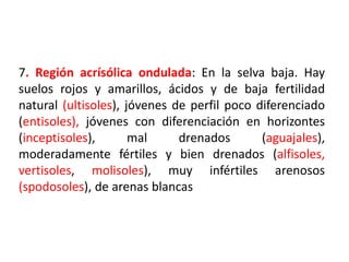 7. Región acrísólica ondulada: En la selva baja. Hay
suelos rojos y amarillos, ácidos y de baja fertilidad
natural (ultisoles), jóvenes de perfil poco diferenciado
(entisoles), jóvenes con diferenciación en horizontes
(inceptisoles), mal drenados (aguajales),
moderadamente fértiles y bien drenados (alfisoles,
vertisoles, molisoles), muy infértiles arenosos
(spodosoles), de arenas blancas
 
