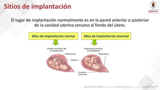 Clase 1 Cambios Fisiologicos del embarazo | PPTX