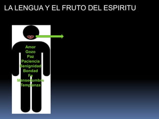 LA LENGUA Y EL FRUTO DEL ESPIRITU
Amor
Gozo
Paz
Paciencia
Benignidad
Bondad
Fe
Mansedumbre
Templanza
 