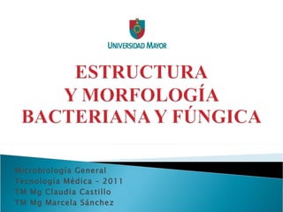 Microbiología General Tecnología Médica – 2011 TM Mg Claudia Castillo TM Mg Marcela Sánchez  