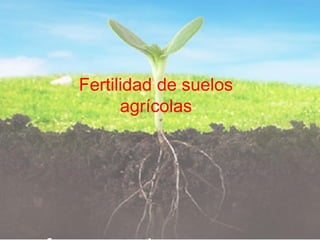 Fertilidad de suelos
agrícolas
 