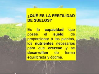 Clase 1 Fertilidad y nutricion vegetal.pdf