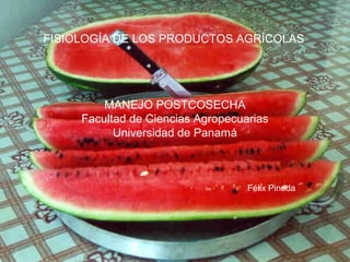 FISIOLOGÍA DE LOS PRODUCTOS AGRÍCOLAS
MANEJO POSTCOSECHA
Facultad de Ciencias Agropecuarias
Universidad de Panamá
Félix Pineda
 