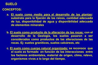 SUELO
CONCEPTOS:
a. El suelo como medio para el desarrollo de las plantas:
substrato para la fijación de las raíces, cantidad adecuada
de luz, disponibilidad de agua y disponibilidad adecuada
de elementos minerales
b. El suelo como producto de la alteración de las rocas: con el
desarrollo de la Geología, los suelos pasaron a ser
considerados como productos de las alteraciones de las
rocas. Ej: suelos graníticos, suelos calcáreos, etc
c. El suelo como cuerpo natural organizado: se reconoce que
el suelo es formado en función de las interacciones entre
los factores ambientales, material de origen, clima, relevo,
organismos vivos a lo largo del tiempo.
 