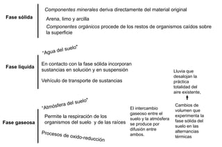 Fase sólida
Fase liquida
Fase gaseosa
Permite la respiración de los
organismos del suelo y de las raíces
El intercambio
gaseoso entre el
suelo y la atmósfera
se produce por
difusión entre
ambos.
Cambios de
volumen que
experimenta la
fase sólida del
suelo en las
alternancias
térmicas
Lluvia que
desalojan la
práctica
totalidad del
aire existente,
En contacto con la fase sólida incorporan
sustancias en solución y en suspensión
Vehículo de transporte de sustancias
Componentes minerales deriva directamente del material original
Arena, limo y arcilla
Componentes orgánicos procede de los restos de organismos caídos sobre
la superficie
 