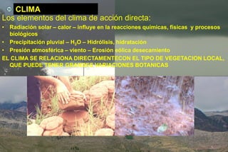 CLIMA
Los elementos del clima de acción directa:
• Radiación solar – calor – influye en la reacciones químicas, físicas y procesos
biológicos
• Precipitación pluvial – H2O – Hidrólisis, hidratación
• Presión atmosférica – viento – Erosión eólica desecamiento
EL CLIMA SE RELACIONA DIRECTAMENTECON EL TIPO DE VEGETACION LOCAL,
QUE PUEDE TENER GRANDES VARIACIONES BOTANICAS
30
 