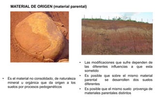 MATERIAL DE ORIGEN (material parental)
• Las modificaciones que sufre dependen de
las diferentes influencias a que esta
sometido
• Es posible que sobre el mismo material
parental se desarrollen dos suelos
diferentes
• Es posible que el mismo suelo provenga de
materiales parentales distintos
• Es el material no consolidado, de naturaleza
mineral u orgánica que da origen a los
suelos por procesos pedogenéticos
 